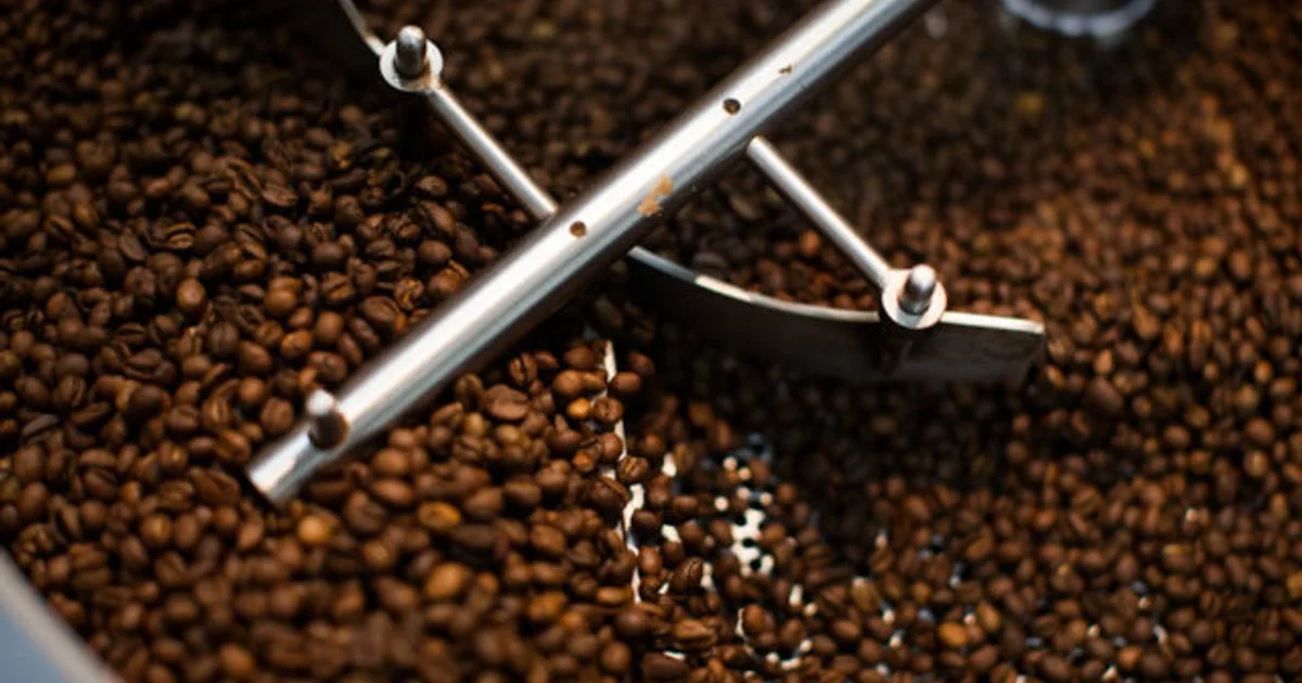 Cafeterias brasileiras crescem nos EUA apostando em experiência e café premium